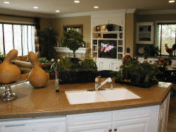 Home Soda Fountain Dispensers